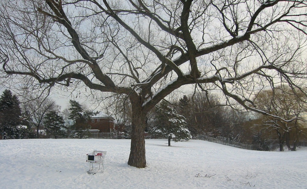 Winter view of Glendora Park