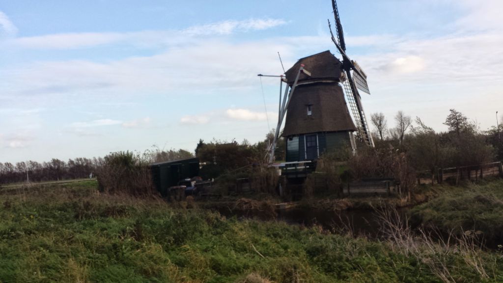 Windmill Near Harleem