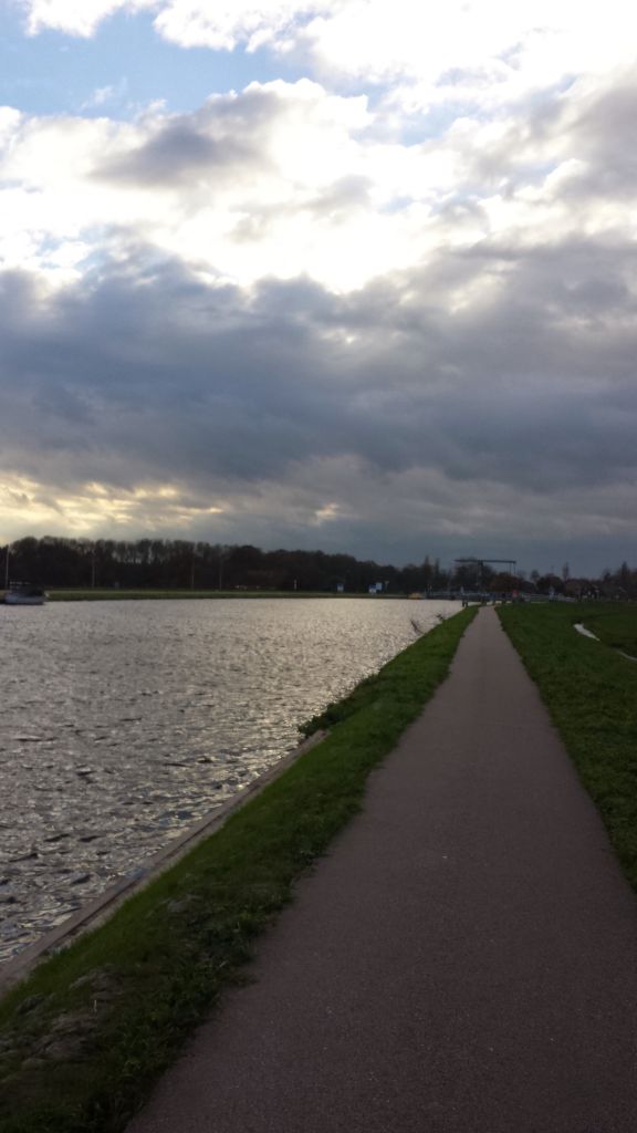 Bike path near Haarlem