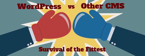 WordPress vs Other CMS? Which one is Perfect One to Choose?